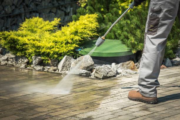 Best Pool Deck Cleaning  in Llington, MI