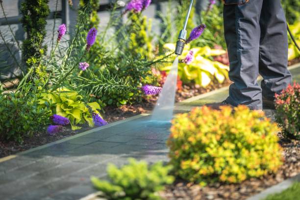 Best Driveway Pressure Washing  in Llington, MI