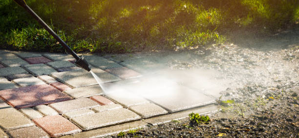 Best Dumpster Area Cleaning  in Llington, MI