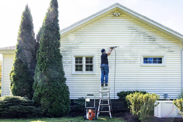 Best Soft Washing  in Llington, MI