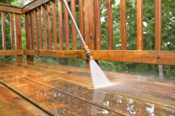 Best Fence Cleaning  in Llington, MI